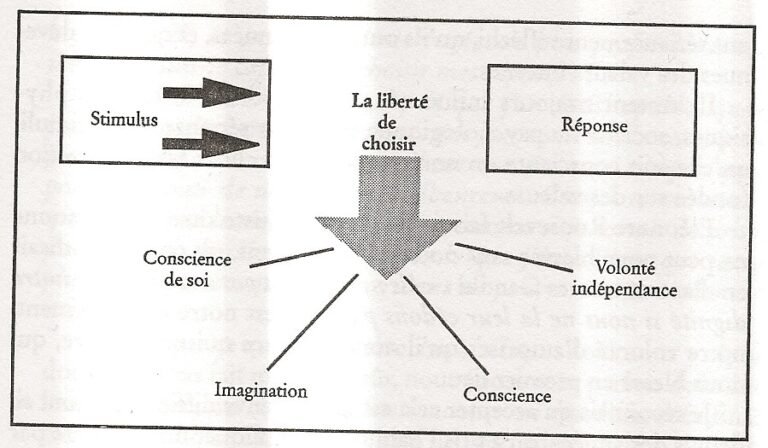 Proactif Vs Réactif : Différences, Définitions Et Exemples Concrets